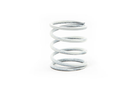 Dump Valve Spring (Single)