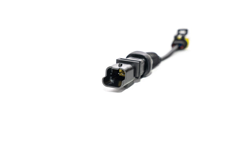 Forge E-DV Wiring Loom Replacement