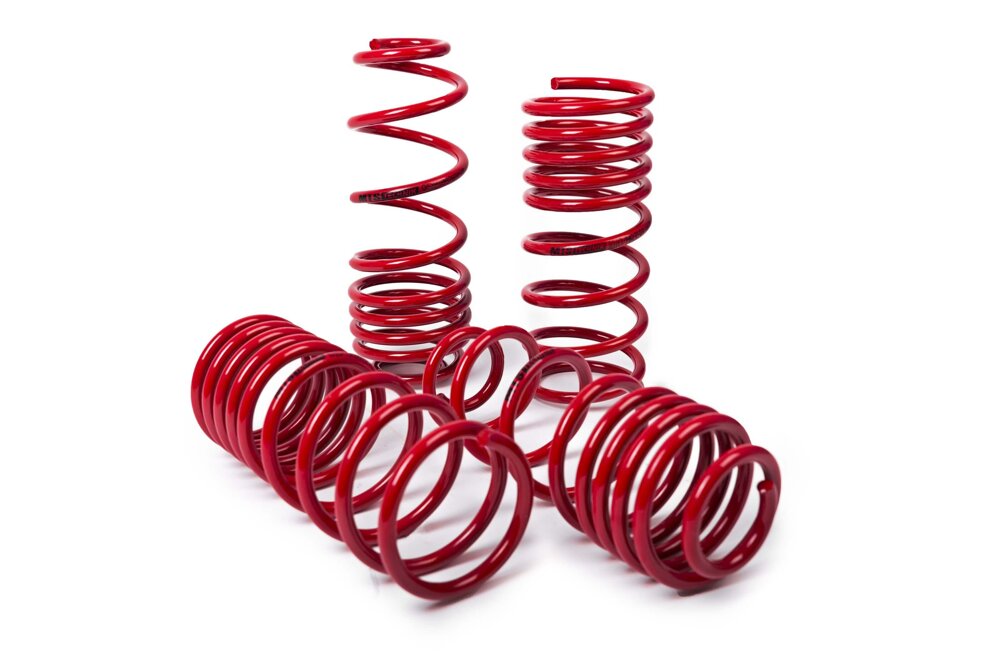 Lowering Springs Volkswagen TRANSPORTER T5 40/40mm – Lowpro